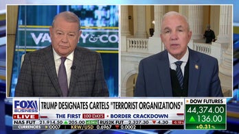 Mexico should have 'two weeks' to clean up cartel crisis: GOP lawmaker