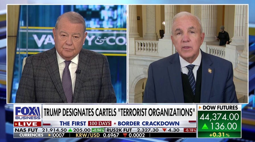 Mexico should have 'two weeks' to clean up cartel crisis: GOP lawmaker