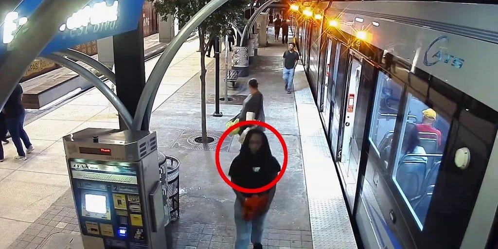 Iryna Zarutska's accused killer seen exiting train