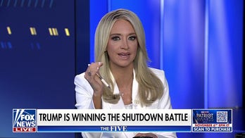 Kayleigh McEnany: Dems are 'maximizing pain' to cater to 'radical, left-wing socialists'