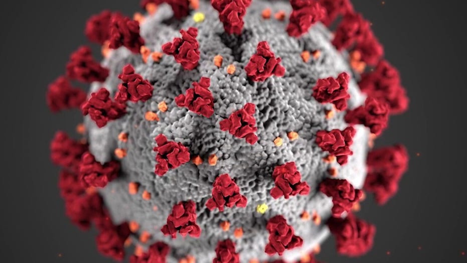 Coronavirus Who Are Considered Essential Workers Fox News
