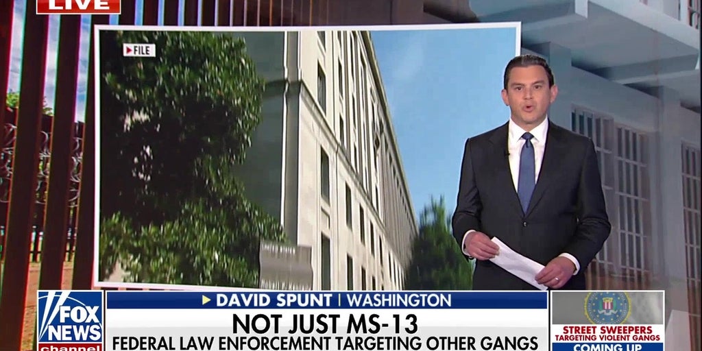 DOJ warns transnational gangs remain a threat despite overall crime drop