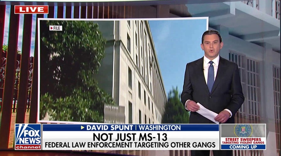 DOJ warns transnational gangs remain a threat despite overall crime drop