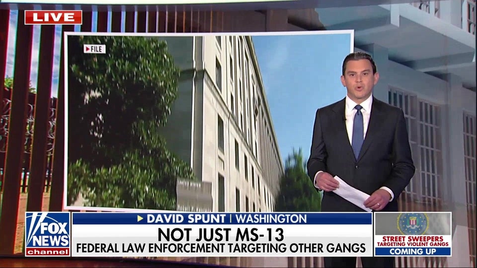 DOJ warns transnational gangs remain a threat despite overall crime drop