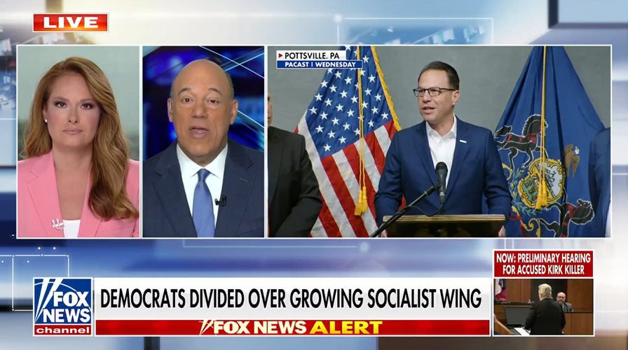 Ari Fleischer: It's been nothing but a 'slide to the left' inside the Democratic Party