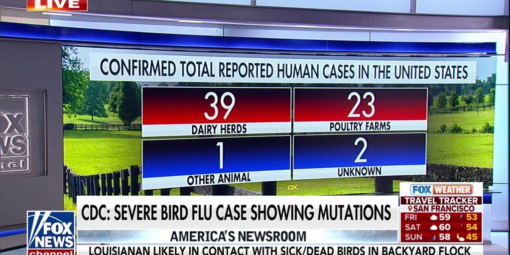 CDC warns bird flu virus showing mutations in severe cases