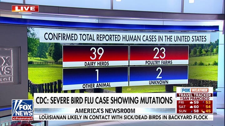 Los CDC advierten que el virus de la gripe aviar muestra mutaciones en los casos graves 