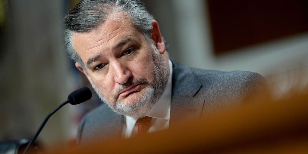 Ted Cruz roasts Democrats while grilling FCC Chair Brendan Carr
