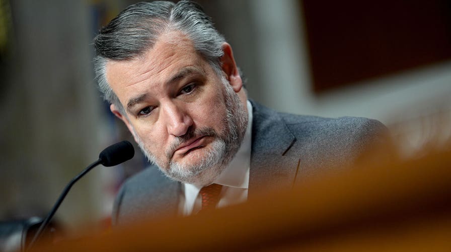 Ted Cruz roasts Democrats portion grilling FCC Chair Brendan Carr