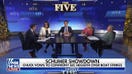 Sanctuary cities are just 'Airbnbs for felons' 