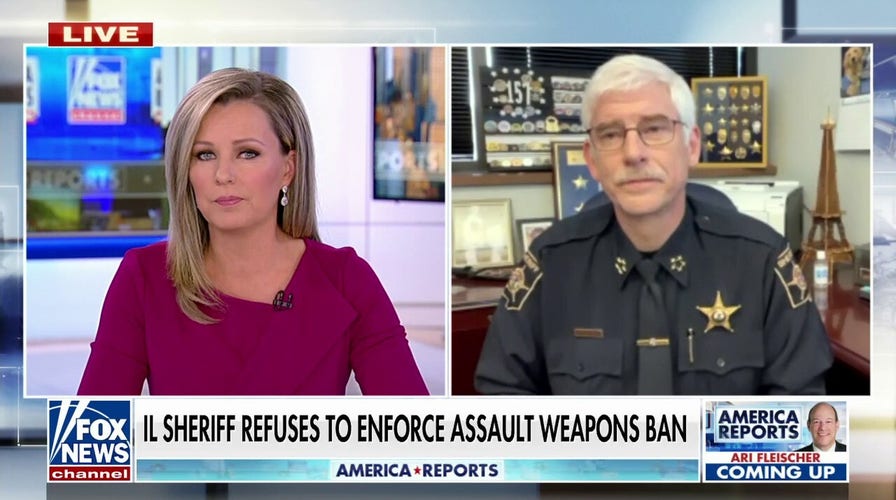 Illinois lawmakers batter sheriff for refusing to enforce state's ban on assault weapons