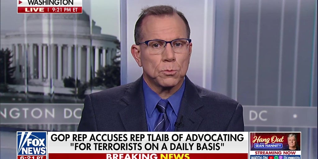 Chaos erupts when GOP lawmaker accuses Rep Rashida Tlaib of advocating for terrorists on daily basis