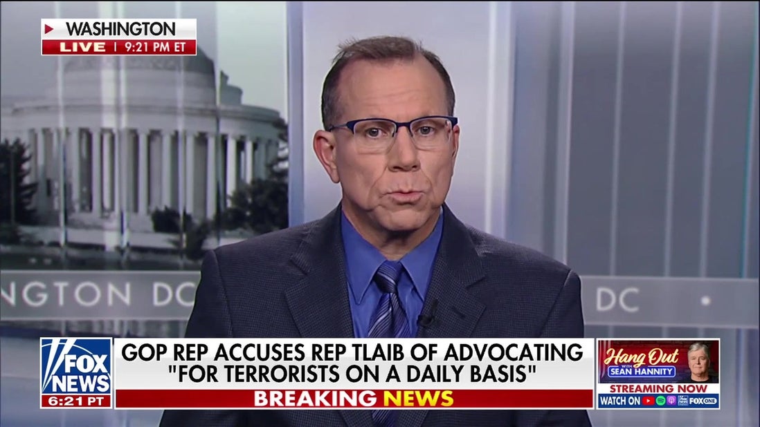 Chaos erupts when GOP lawmaker accuses Rep Rashida Tlaib of advocating for terrorists on daily basis