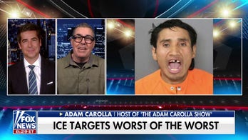 Comparing US law enforcement to Nazis is deeply offensive, Adam Carolla says