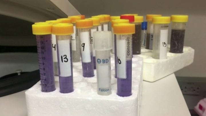 White House touts dramatic increase in coronavirus testing capacity