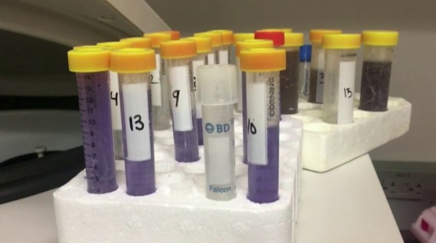 White House touts dramatic increase in coronavirus testing capacity