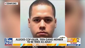 Alina Habba sends 'very serious' message to NJ gangs: I will not tolerate any violence