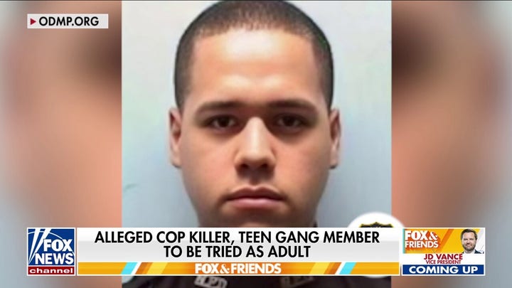Alina Habba sends 'very serious' message to NJ gangs: I will not tolerate any violence
