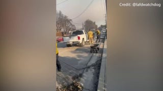 Prestigious awards recovered from California wildfire looters - Fox News
