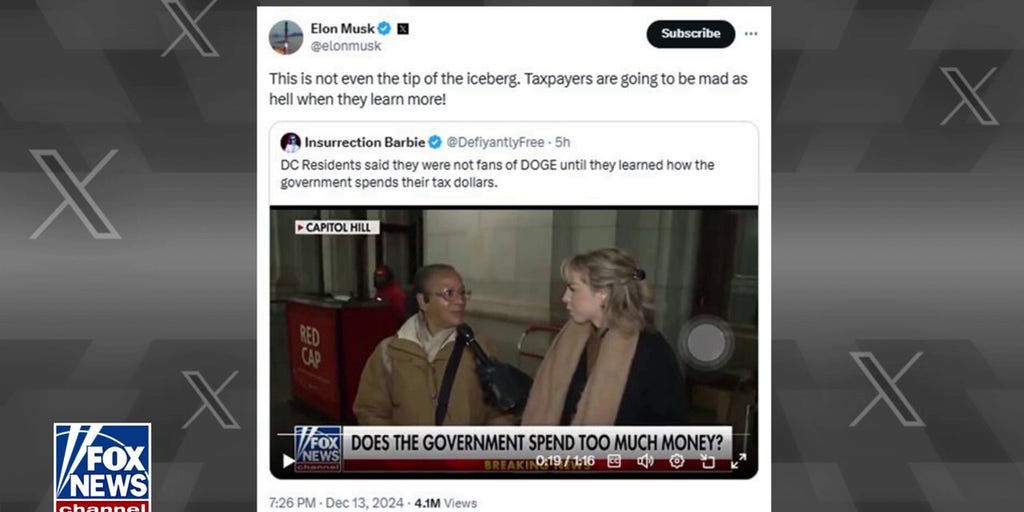 Elon Musk reposts 'Fox News @ Night' segment asking if the government spends too much money