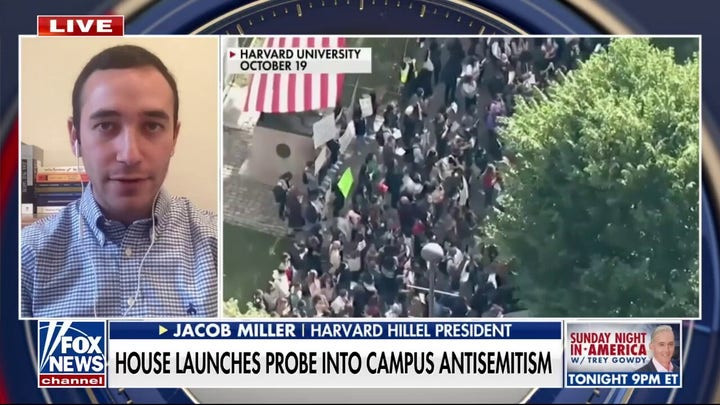 Antisemitism is a 'driving force' in a lot of the pro-Palestinian activism going on, says Harvard student Jacob Miller
