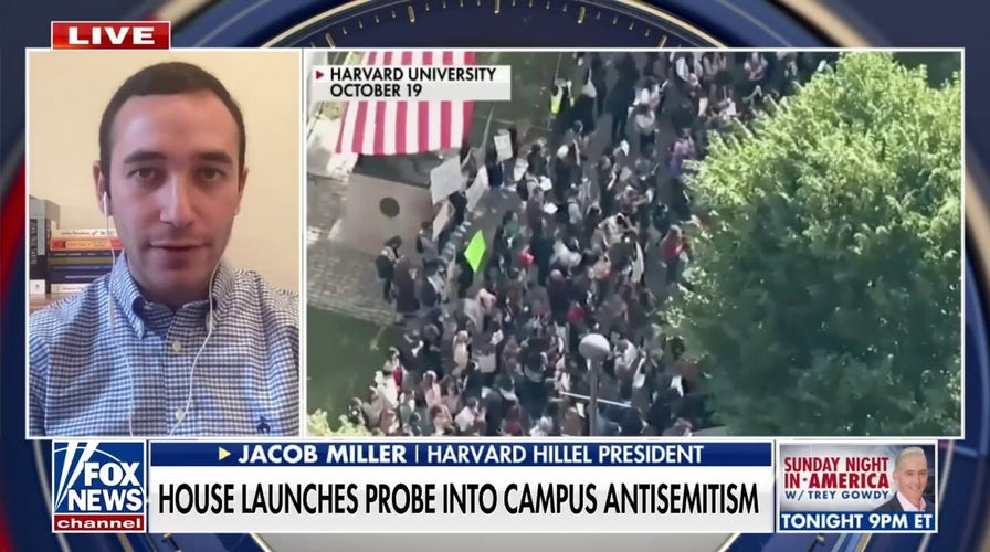 Antisemitism is a 'driving force' in a lot of the pro-Palestinian activism going on, says Harvard student Jacob Miller