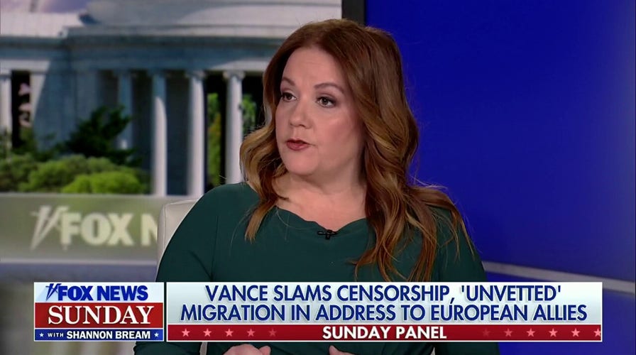 JD Vance's Munich speech was 'almost Reaganesque,' Mollie Hemingway says