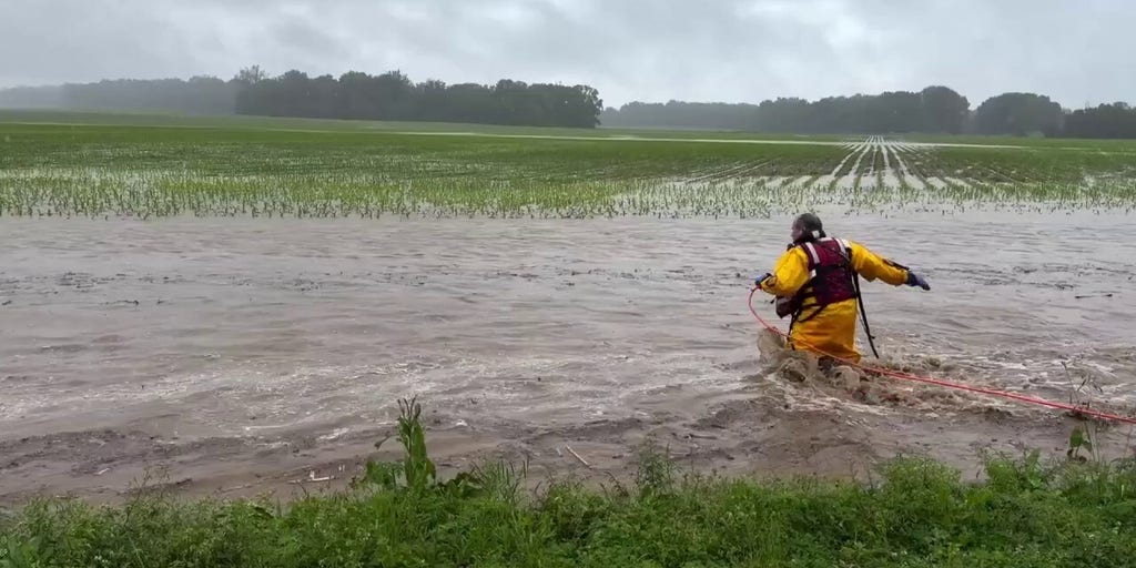 Fire captain rescues baby deer swept away during Indiana flood response