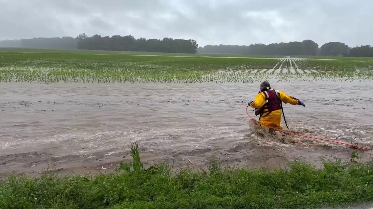 Fire captain rescues baby deer swept away during Indiana flood response