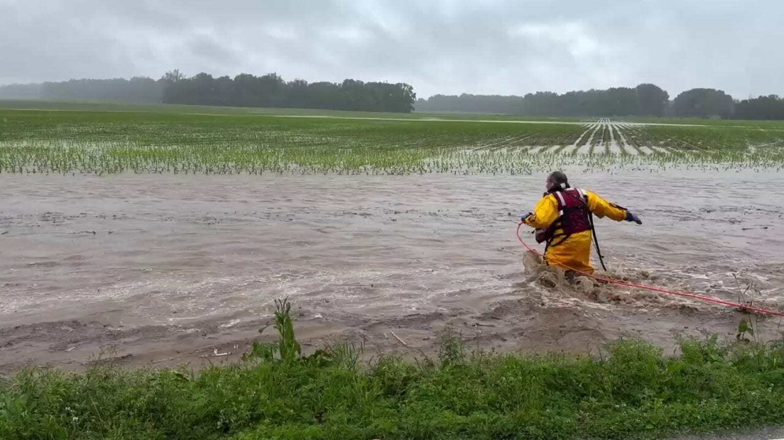 Fire captain rescues baby deer swept away during Indiana flood response