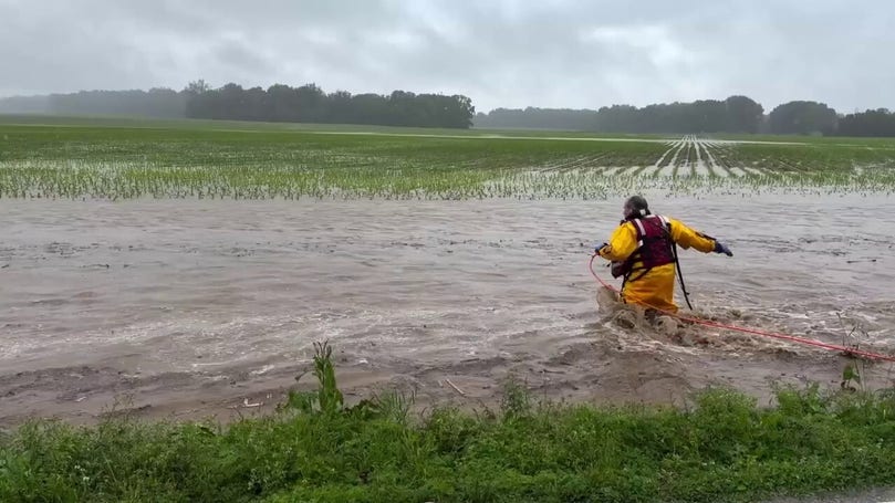 Fire captain rescues baby deer swept away during Indiana flood response