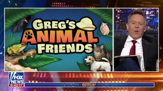 ‘Gutfeld!’ panel shows off their animal friends - Fox News