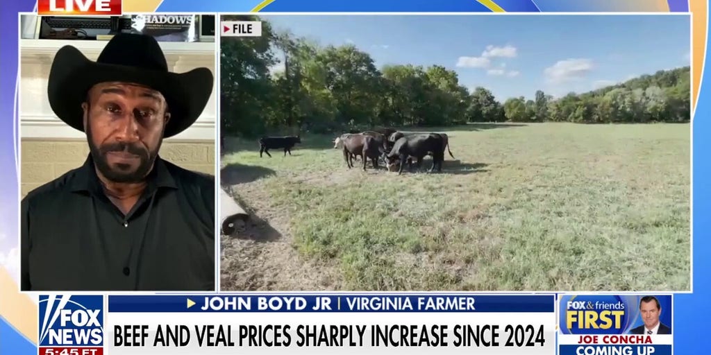 Trump admin to invest in biosecurity, financial relief for farmers to combat egg shortages