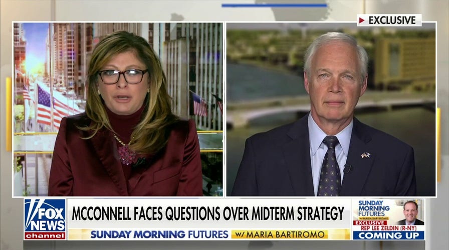 Ron Johnson slams push to hold leadership elections next week: 'Absurd, preposterous'