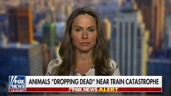  Dr. Nicole Saphier: We're seeing a chemical catastrophe in Ohio