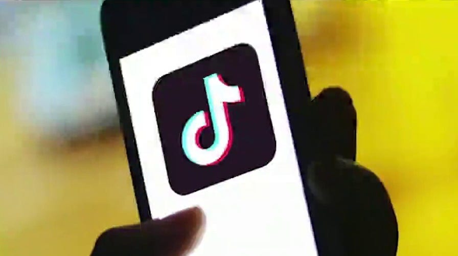 Should Americans be concerned over China-owned TikTok?