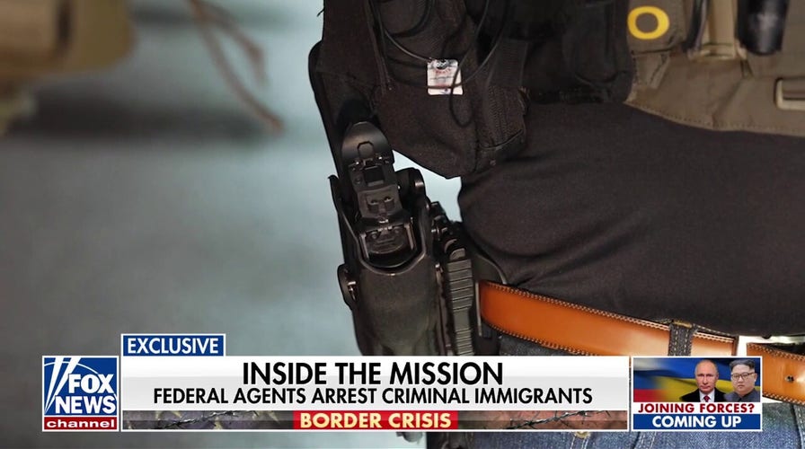 Criminal immigrants are arrested by federal agents