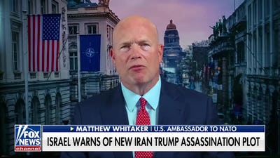 Our strength will guarantee peace: US rep to NATO