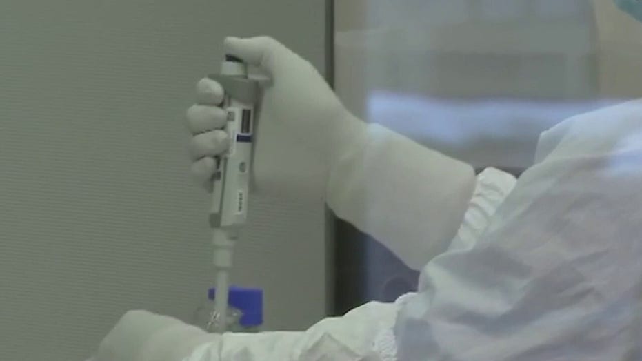 UK Tests If COVID-19 Vaccines Might Work Better Inhaled | Fox News