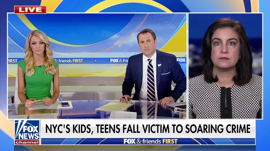 Rep. Malliotakis torches NYC criminal justice system