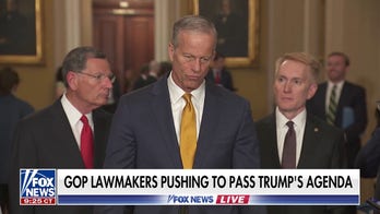 GOP lawmakers under increased pressure to deliver Trump’s agenda