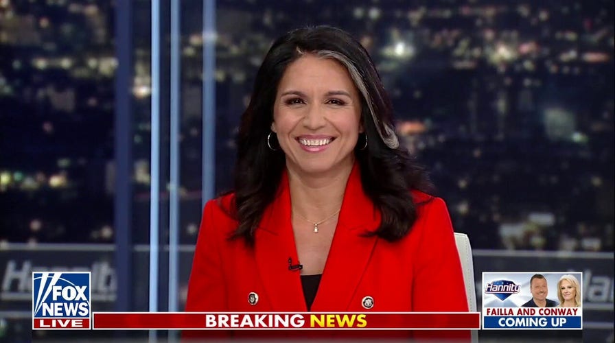 Tulsi Gabbard: DNC is disrespectful to Americans