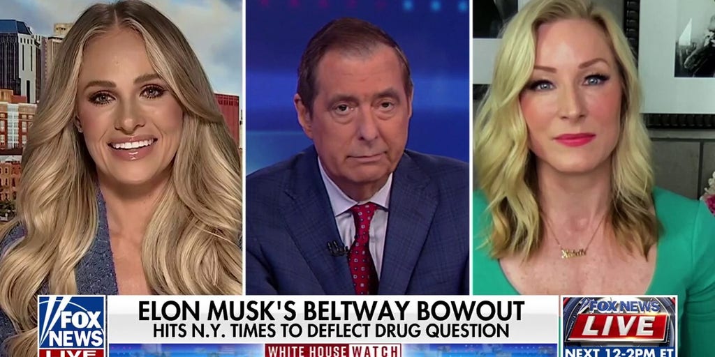 'Nothingburger': Tomi Lahren brushes off Musk drug use claims
