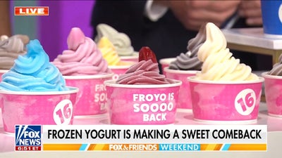 16 Handles CEO Neil Hershman details frozen yogurt's comeback