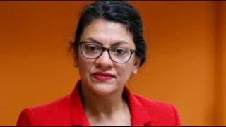 Detroit Police Chief calls Tlaib 'disrespectful' over stance on police - Fox News