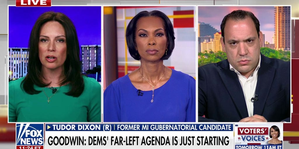 'That is not reality': Former Michigan gubernatorial candidate rips Dems going further left