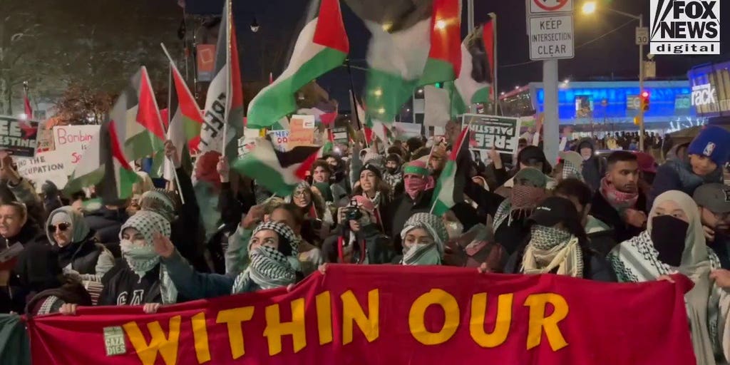 Pro-Palestinian protesters in Staten Island chant 'from the river to ...