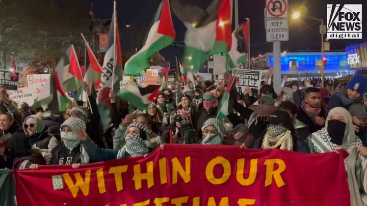Pro-Palestinian protesters in Staten Island chant 'from the river to the sea,' burn Israeli flag
