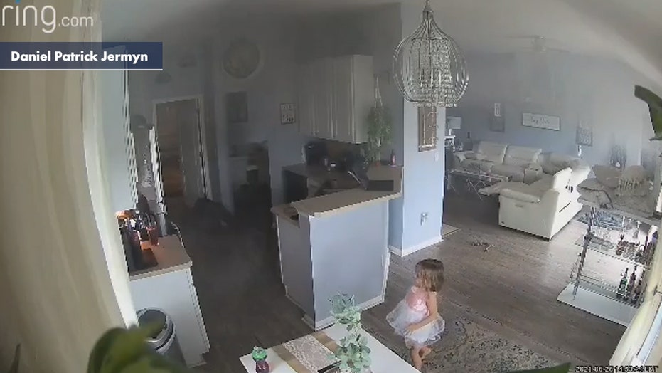 4-year-old saves family's house from burning down after spotting burning appliance