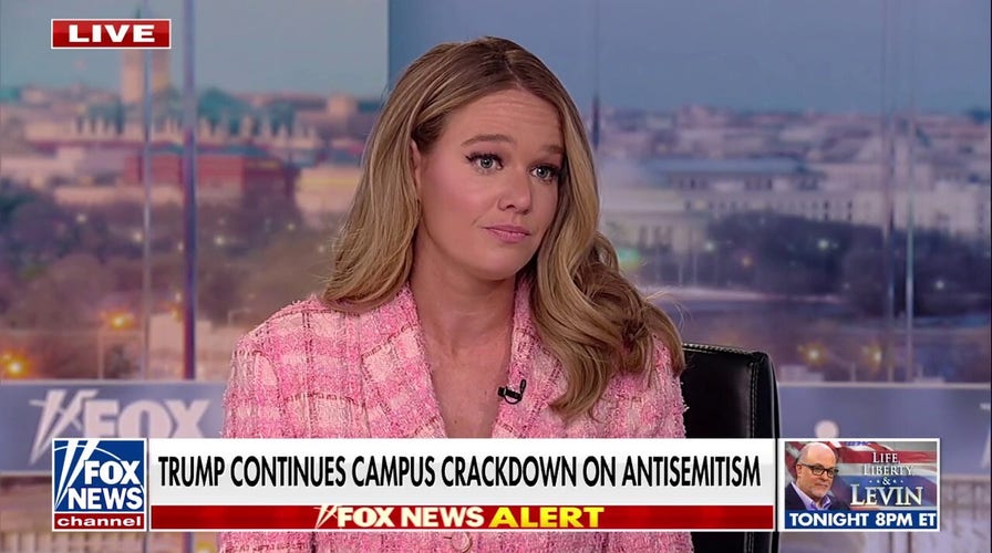 We have the most secure border in ‘American history,’ expert says